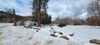 111 Mullan Gulch Rd photo